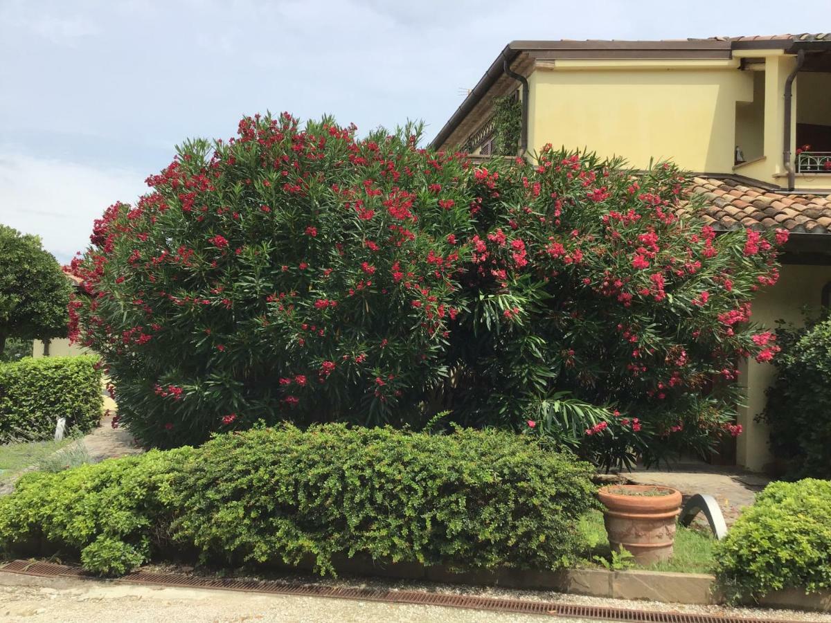 Residence Baia Vallugola Castel di Mezzo Dış mekan fotoğraf
